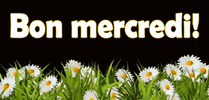 Gif animé Bon mercredi fleurs